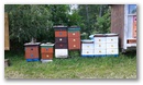 20160618_152907.jpg